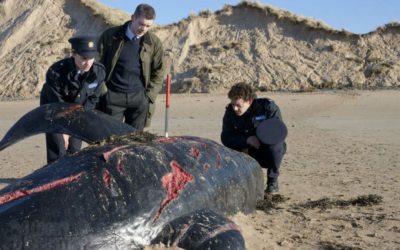 Grabbers : boire ou survivre, il faut choisir