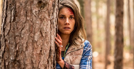 De Backcountry à Frozen : dix survivals à découvrir