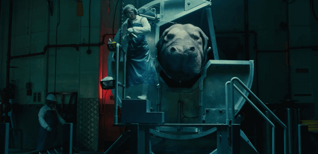 Okja : tout est bon dans ce cochon Okja : tout est bon dans ce cochon