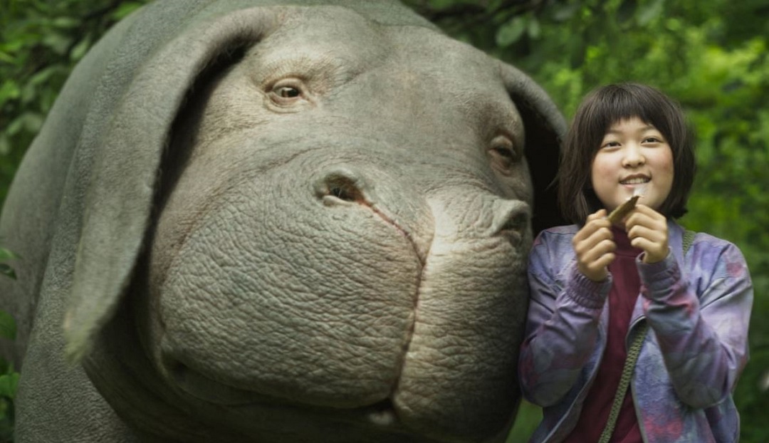 Okja : tout est bon dans ce cochon Okja : tout est bon dans ce cochon