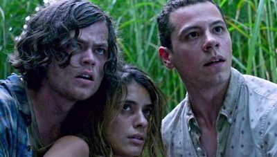 Dans les hautes herbes : du King en rase-mottes