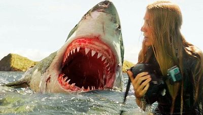 Jeu-concours : gagnez 2 DVD de Great White