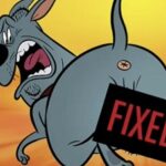 Couic ! : ça cartoone salement chez les chiens