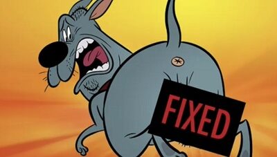 Couic ! : ça cartoone salement chez les chiens