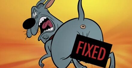 Couic ! : ça cartoone salement chez les chiens
