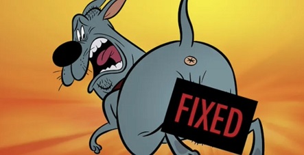 Couic ! : ça cartoone salement chez les chiens