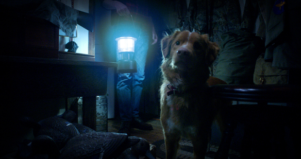 Halloween sur Shadowz : 31 jours de films à faire peur