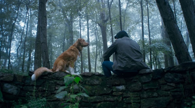 Good Boy : mon chien voit des morts Good Boy : mon chien voit des morts