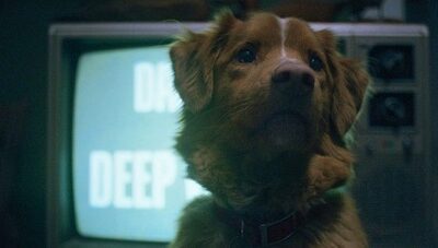 Good Boy : mon chien voit des morts