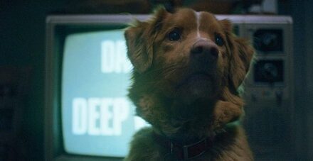 Good Boy : mon chien voit des morts