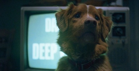 Good Boy : mon chien voit des morts