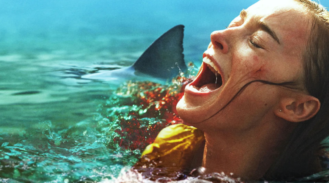 Nature Prédatrice : les dents de la ville