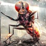 Eega : la mouche vengeresse de S.S. Rajamouli