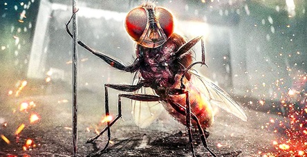 Eega : la mouche vengeresse de S.S. Rajamouli