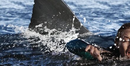 De Deep Water à Beast à War, 10 films de requins à découvrir