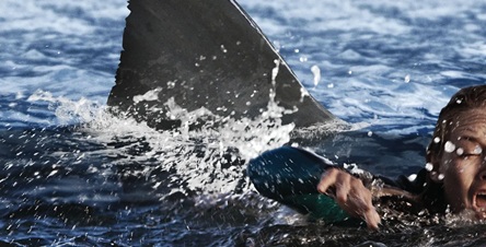 De Deep Water à Beast of War, 10 films de requins à découvrir