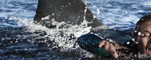 De Deep Water à Beast à War, 10 films de requins à découvrir